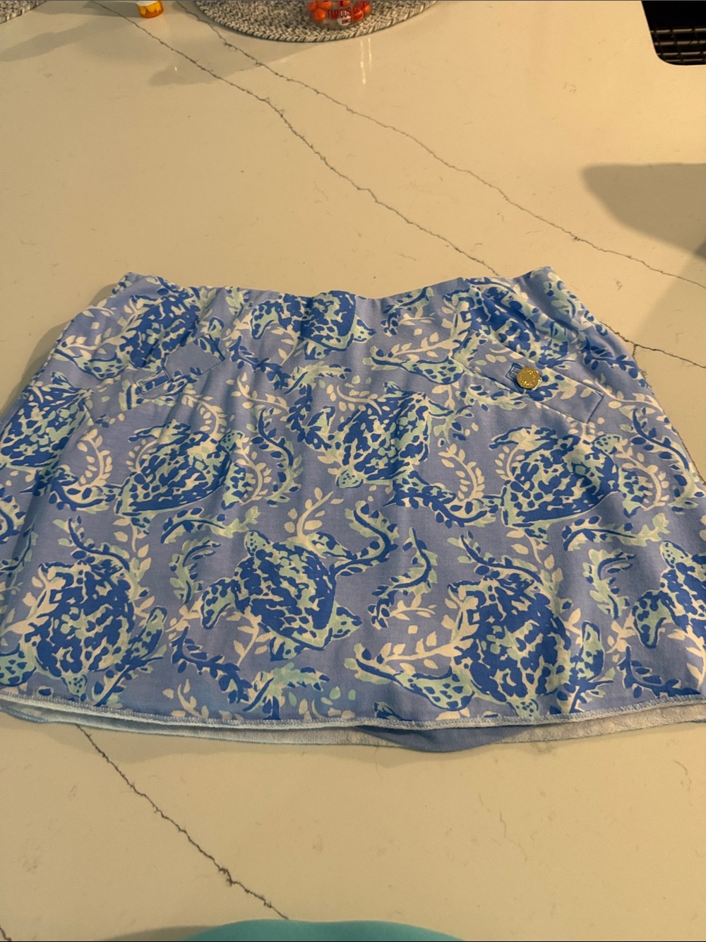 Blue Floral Print Women's Skirt